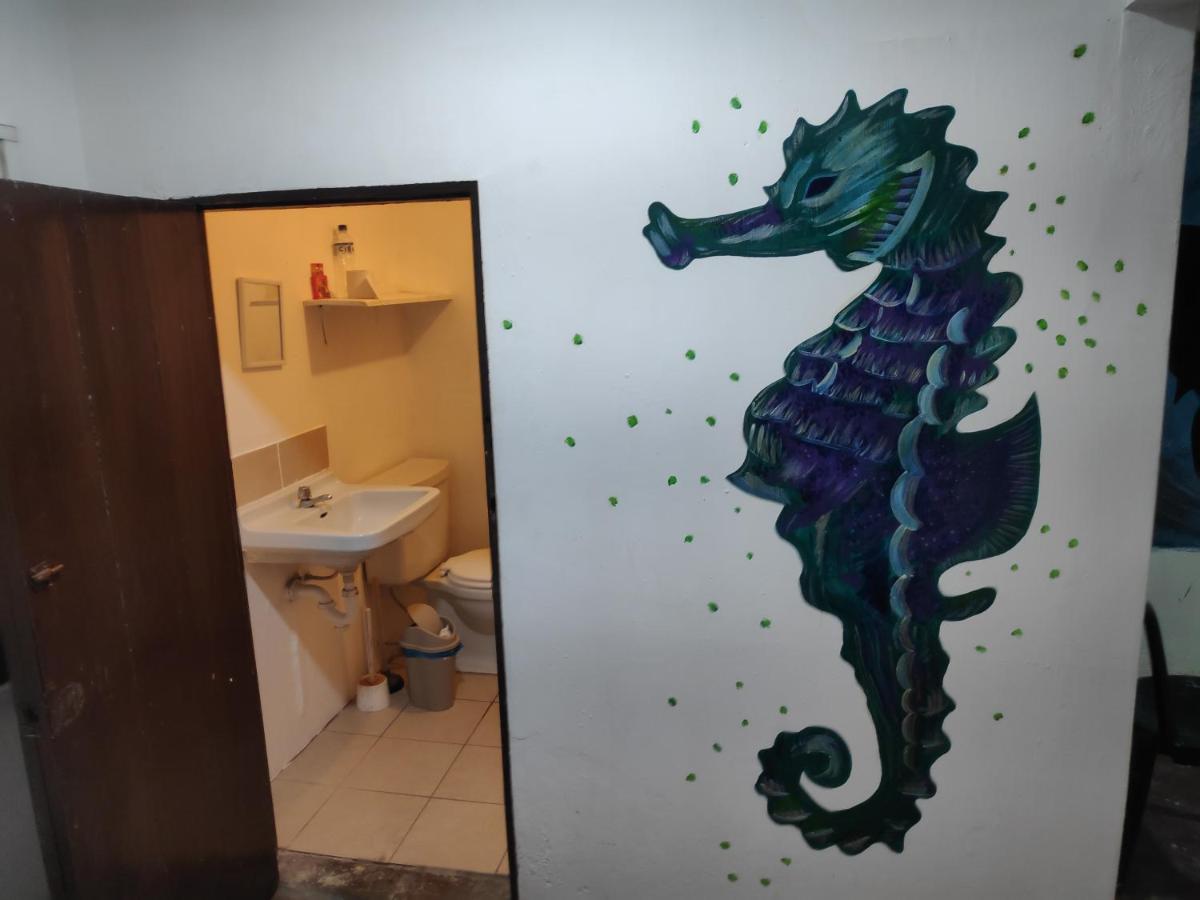 Alquiler De Habitaciones Bay House Hostel 萨利纳斯 外观 照片
